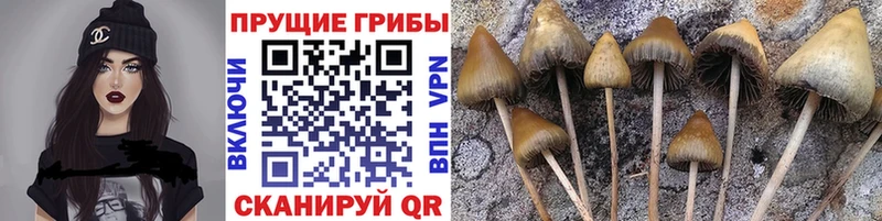 Галлюциногенные грибы ЛСД  Верхняя Салда 