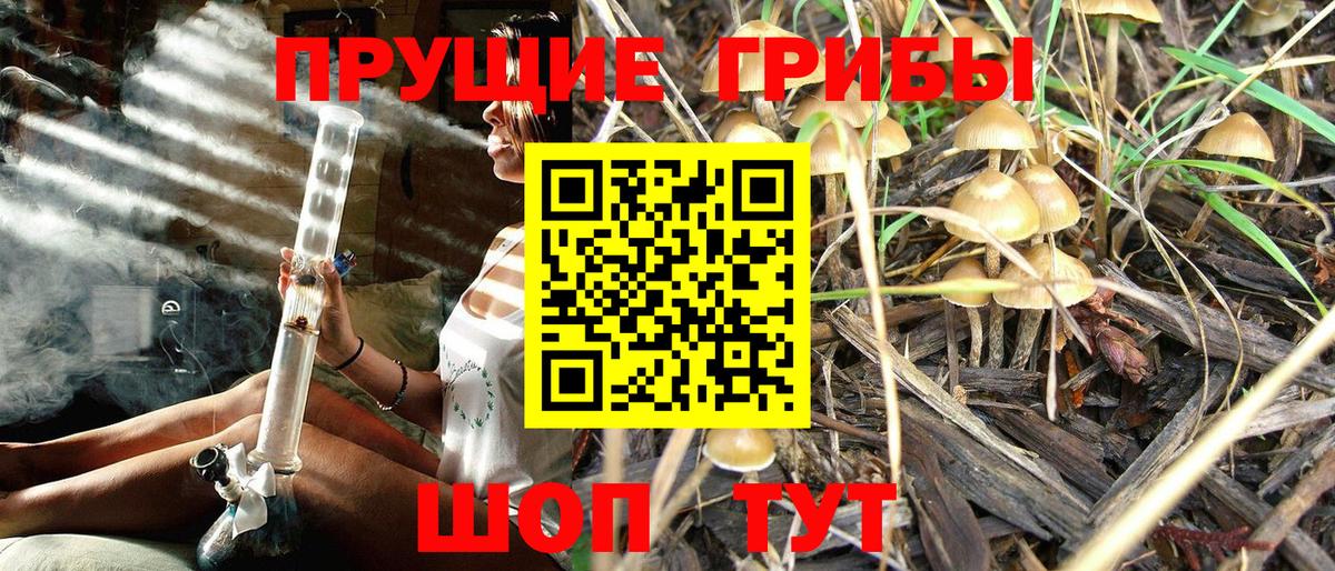 Верхняя Салда  Псилоцибиновые грибы Cubensis  Вход с VPN 